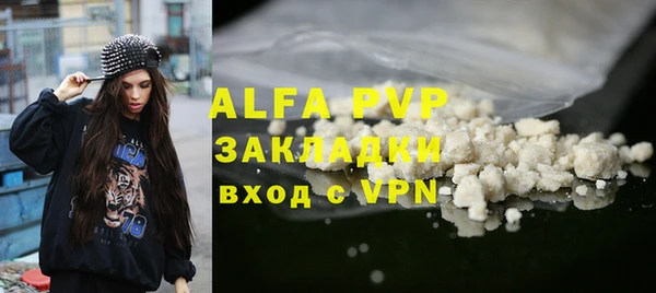 круглые Тайга