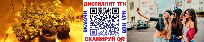 Купить закладки  Верхоянск  ТГК вейп с тгк 
