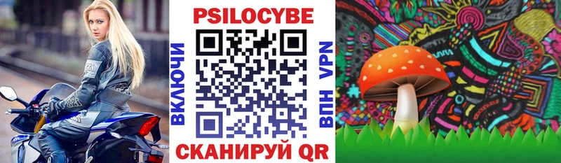Галлюциногенные грибы Psilocybine cubensis  Купить  Верхоянск 